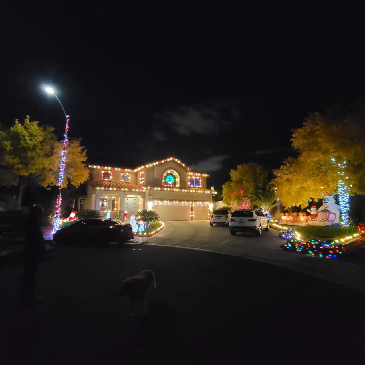 Residential holiday lighting display