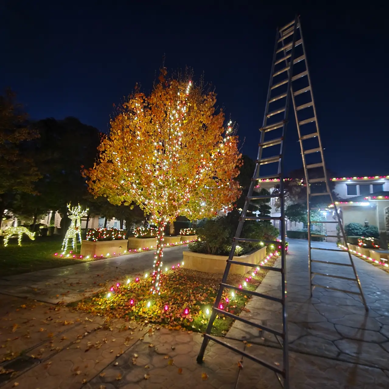 Holiday light installation