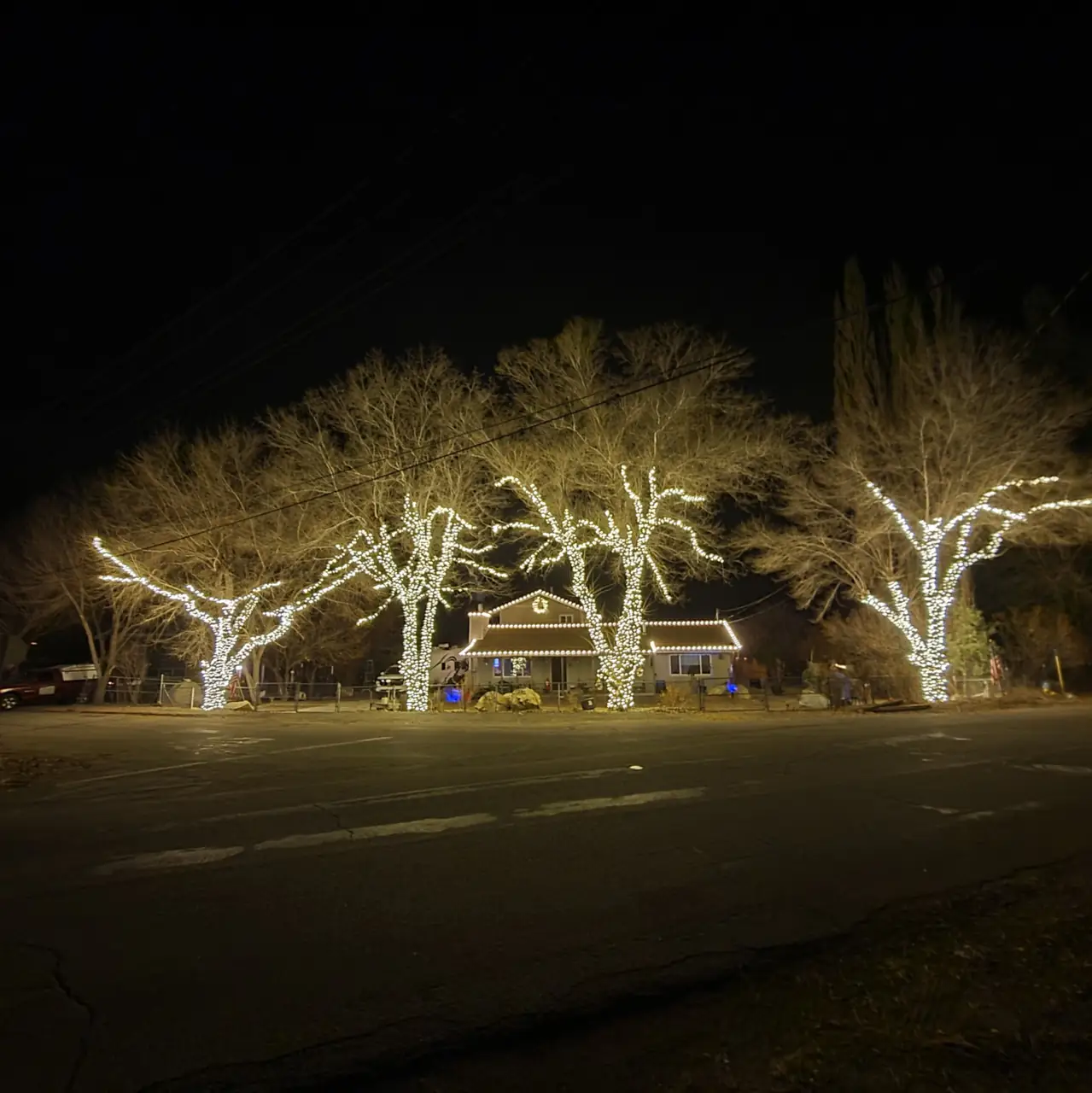 Estate & Residential Holiday Lighting