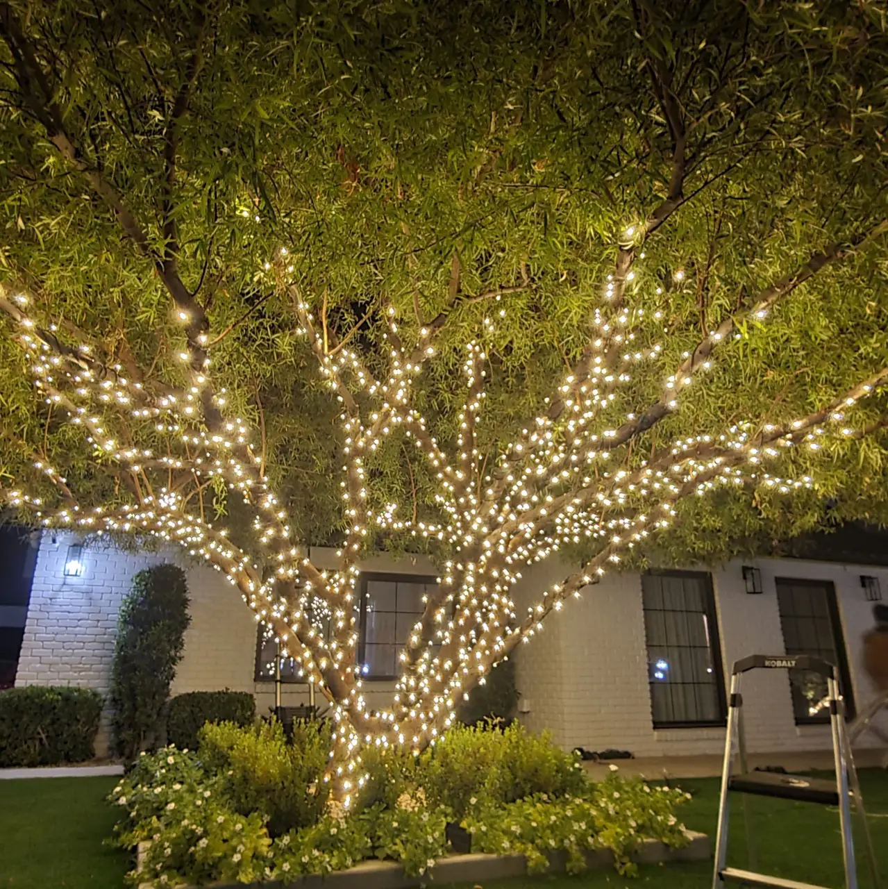 Tree Wrap Lighting