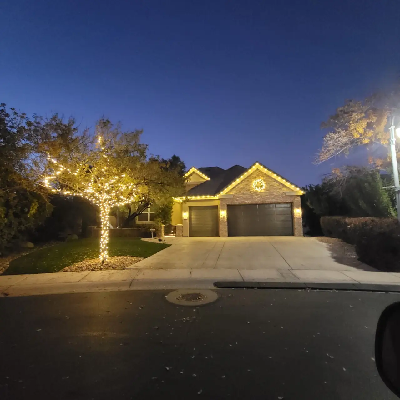 Roofline lighting and tree wraps